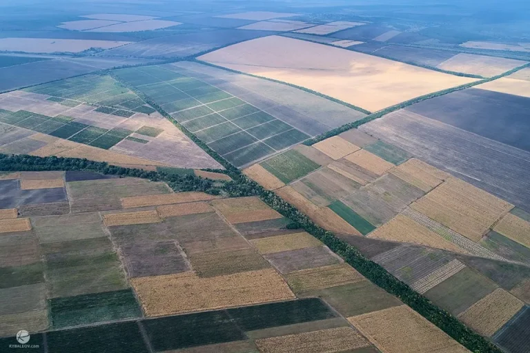 Lùghdaichidh cinneasachadh àiteachais ann am Moldova ann an 2024 air sgàth èiginn san roinn àiteachais