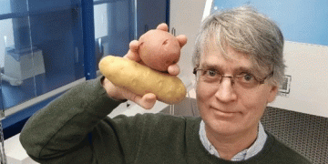 Fighting Potato Cancer: How Canadian Scientists Are Combating a Devastating Disease