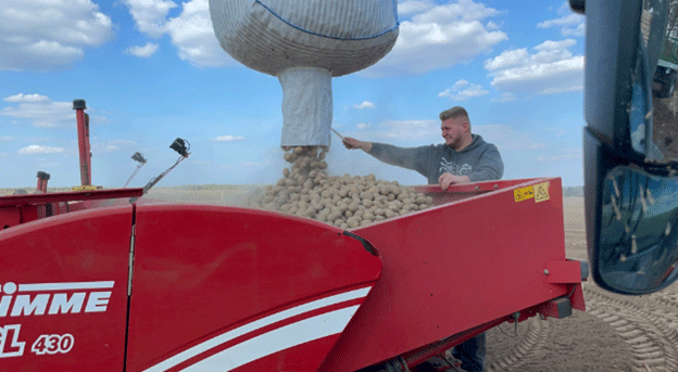 Geheimnisse vom Feld: Deutsche Landwirte geben bewährte Tipps für eine erfolgreiche Kartoffelernte