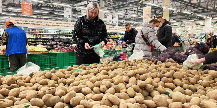 Tver Potatoes Pass Rigorous Safety Testing: What It Means for Food Security and Market Access
