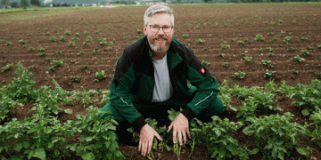 Building Regional Value Chains for Organic Pre-Peeled Potatoes: A Success Story from Regensburg