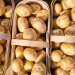 Boosting Potato Yields by 25%: New Integrated Protection System Shows Promising Results