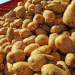 Duhok’s Potato Boom: 600,000-Ton Harvest Sparks Export Opportunities