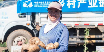 From Field to Fork in 24 Hours: How Smart Farming and Green Supply Chains Are Revolutionizing Agriculture