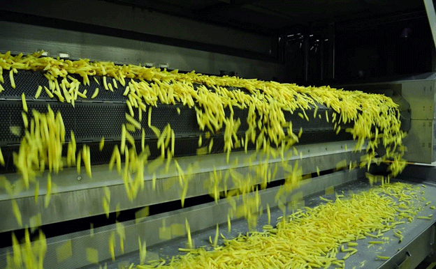 Lutosa’s €200 Million Leap: How Belgium’s Potato Giant Is Expanding Processing Power and Sustainability by 2026