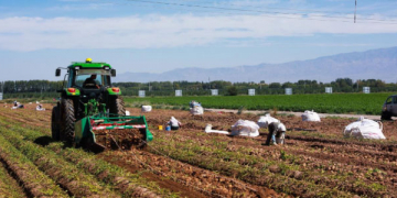 From Seed to Shelf: How Minle County is Revolutionizing Potato Farming with High-Tech Solutions