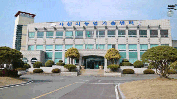 Maximizing Potato Yields: Key Insights on Sacheon’s Autumn Seed Potato Supply for 2025