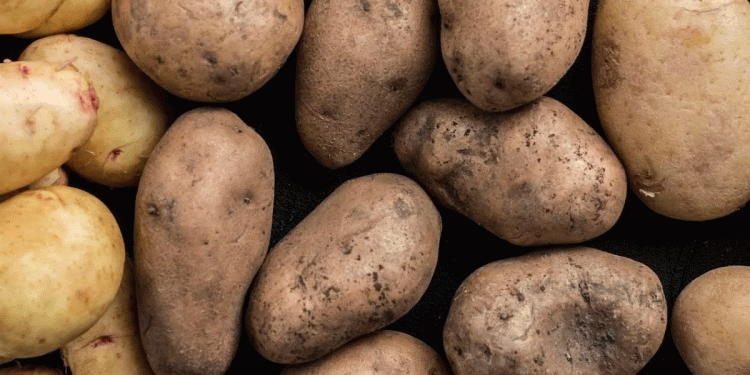 Mordovia Tops Russia’s Potato Price Rating in January 2026