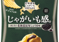 Calbee’s ‘Ajiwai Hokkaido Kombu Soy Sauce Flavor’ Chips: A Fusion of Local Ingredients and Innovation