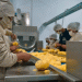 El Alto’s Potato Processing Plant Reaches Full Capacity: A Milestone for Bolivian Agribusiness