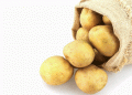 Next-Generation Potato Varieties: Addressing Seed Shortages and Climate Challenges