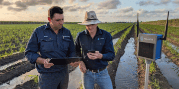 AI-Powered Smart Irrigation: Transforming Sugarcane Farming and Sustainability