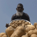 Too Many Potatoes, Too Few Options: Cold Storage Shortage and Export Gaps Threaten Bangladesh’s Potato Farmers