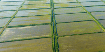 Organic Farming: The Overlooked Solution to Europe’s Water Crisis