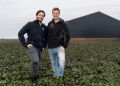 Sweet potatoes from the Netherlands: how the Van Geel brothers played a pioneering role