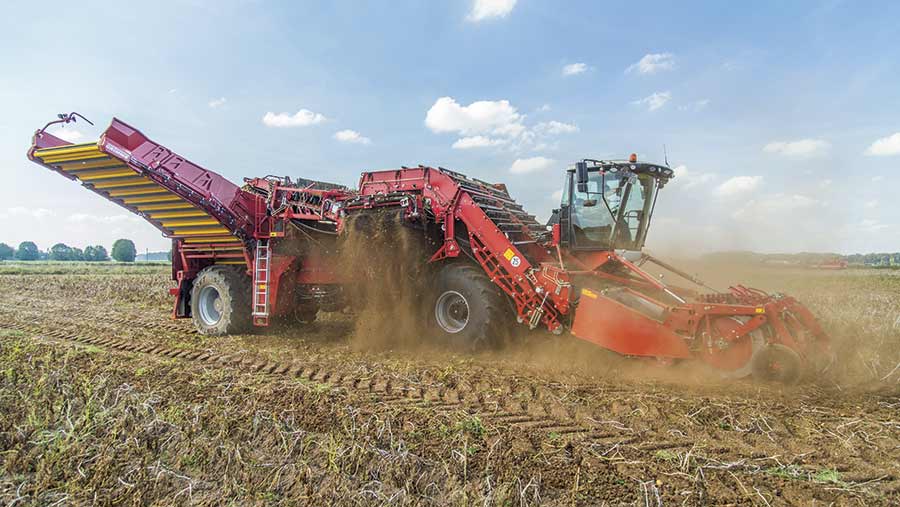Höhere Temperaturen beeinträchtigen die Kartoffelernte im Red River Valley.