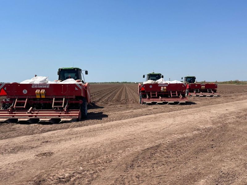 PepsiCo und Landwirte in Sinaloa kooperieren für nachhaltigen Kartoffelanbau