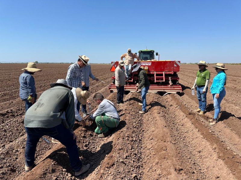 PepsiCo und Landwirte in Sinaloa kooperieren für nachhaltigen Kartoffelanbau