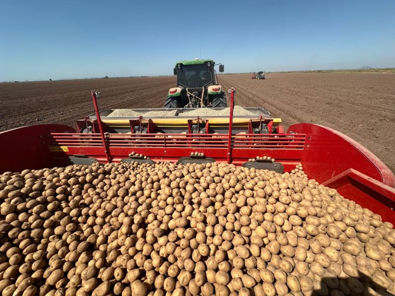 PepsiCo und Landwirte in Sinaloa kooperieren für nachhaltigen Kartoffelanbau