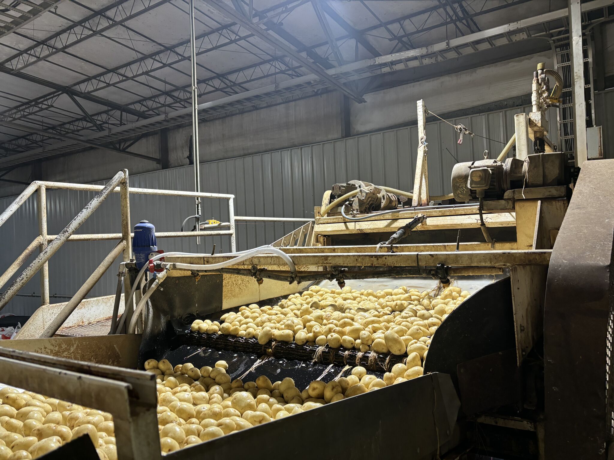 Optimierung des Kartoffelanbaus für hochwertige Chips: Eine Fallstudie von CSS Farms