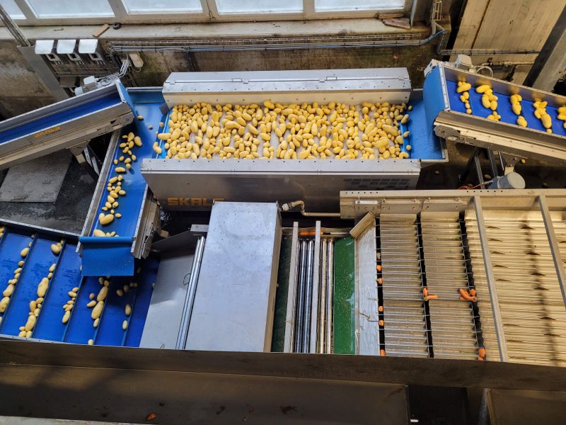 Skals Machinery: 効率的な野菜処理のためのプレミアム搬送ソリューション