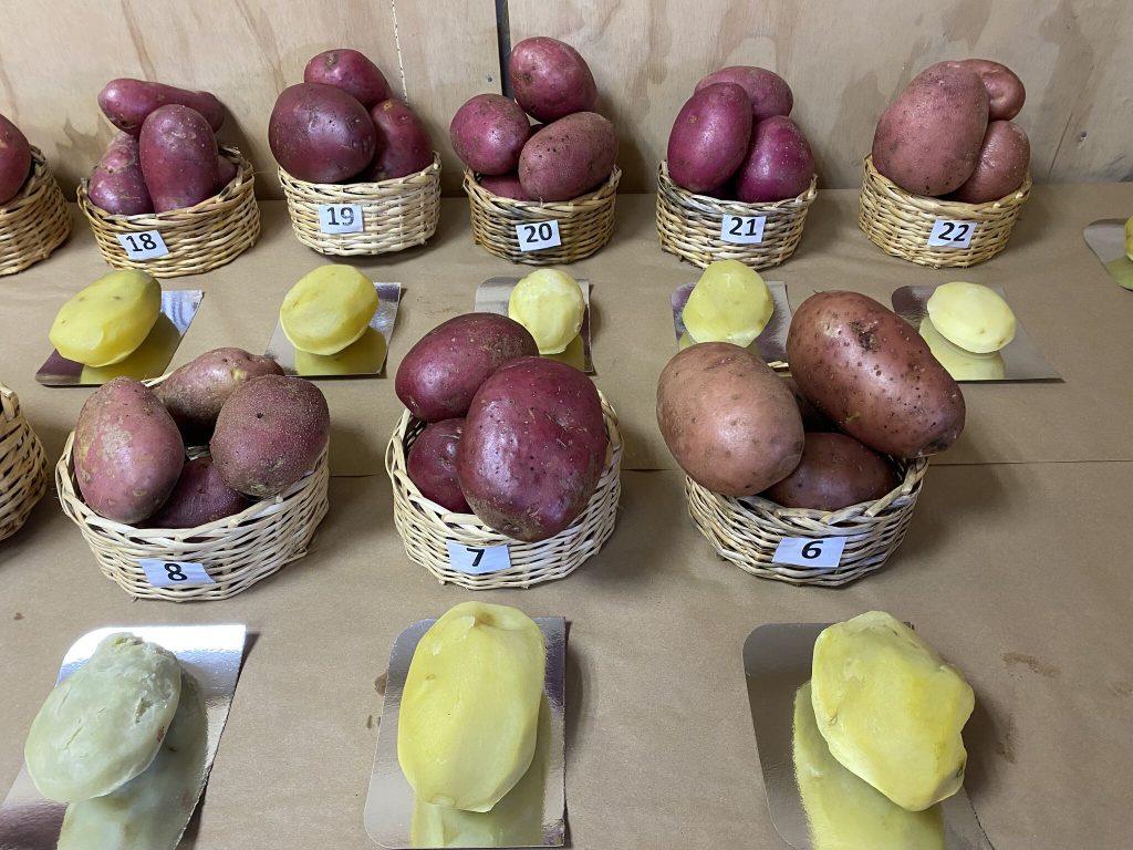 Процес розведення.