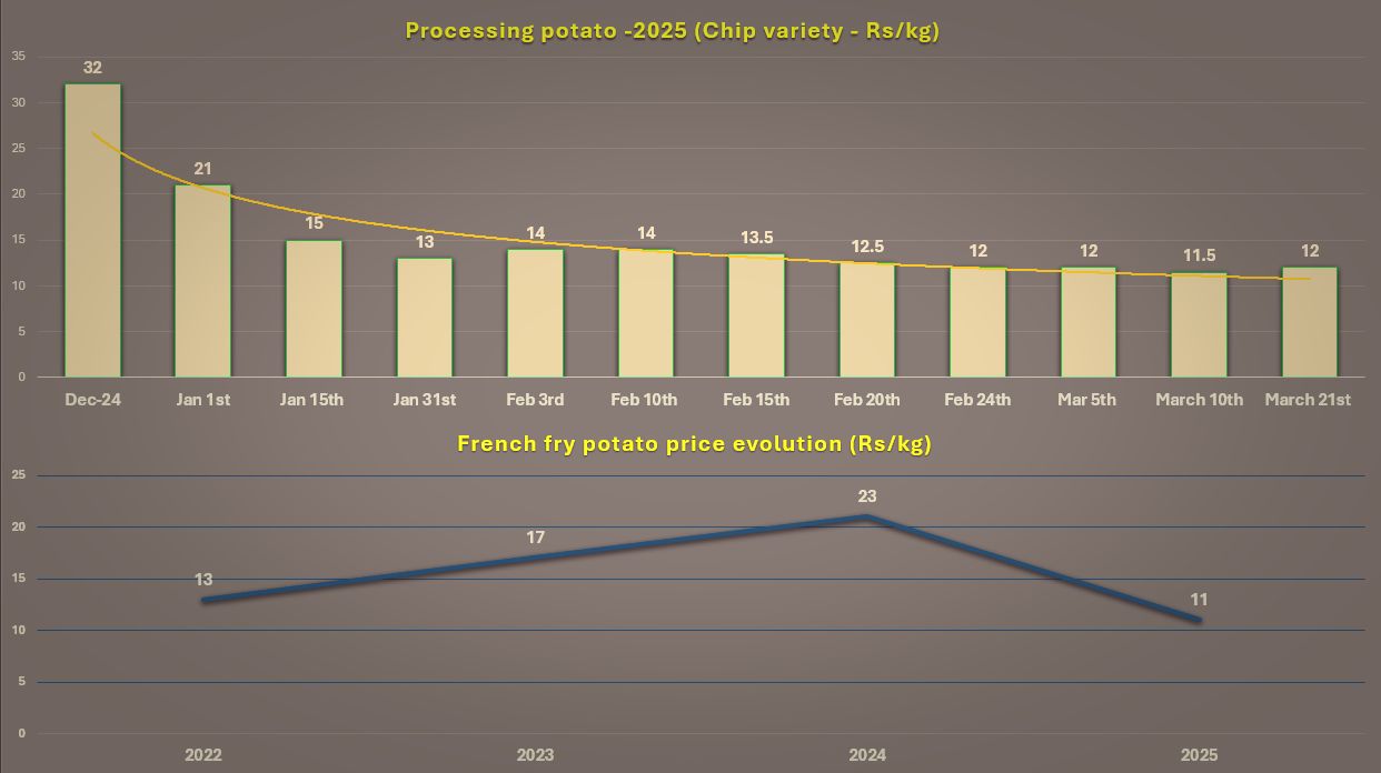 Marché de la pomme de terre de transformation en Inde&nbsp;: volatilité des prix et perspectives émergentes