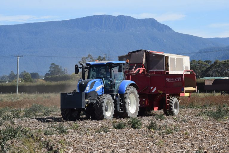 Tasmania a’ geall air buntàta: Bidh brannd ùr Eat More Spuds a’ glacadh a’ mhargaidh