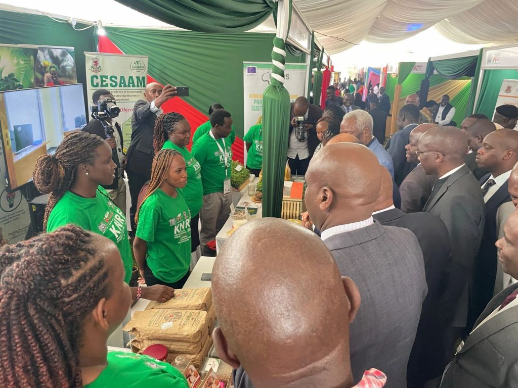 Kenyan Universities Lead Potato Value Addition Drive at National Research Festival 3 Kenyan Universities Lead Potato Value Addition Drive at National Research Festival