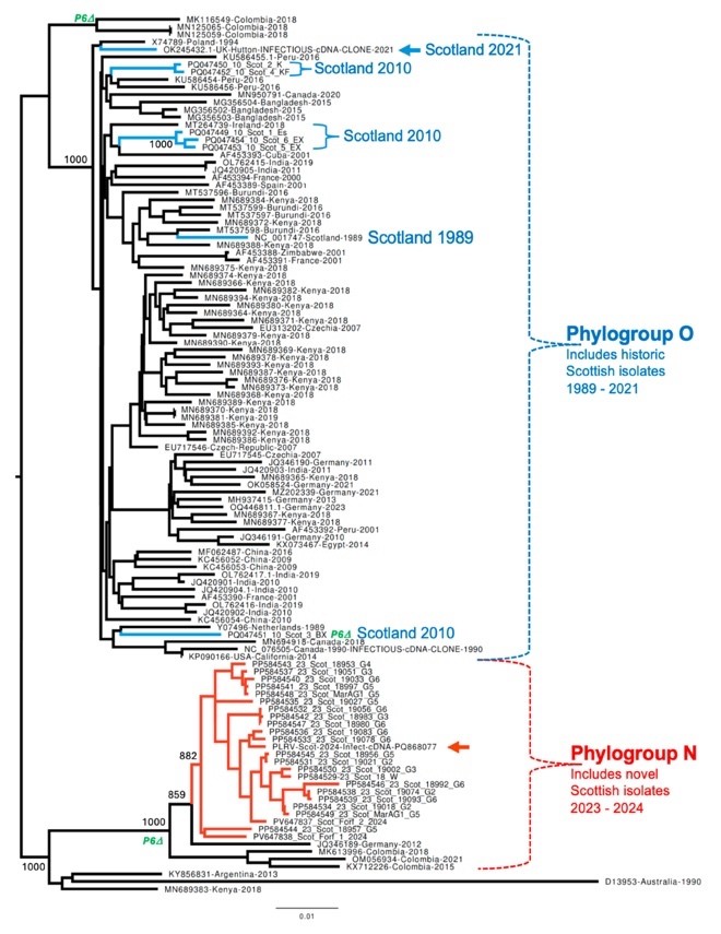 1758828642969 - BE PROFY IN POTATOES NEWS