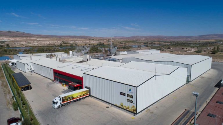 India Expands Potato Processing with Farmton Foods and Eagle Fries as Tasmanian Growers Protest Simplot’s Price Cuts