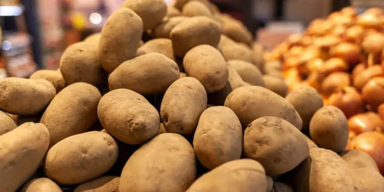 Kazakh Businessman Fined in Zhanaozen for Overpricing Potatoes