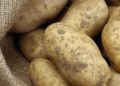 Floods Devastate Morocco’s Potato Crops, Triggering Shortages and Soaring Prices