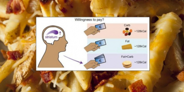 The secret behind our love for french fries