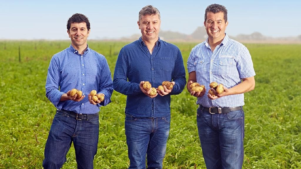 Competition regulator approves sale of rival packer down under 34 Competition regulator approves sale of rival packer down under