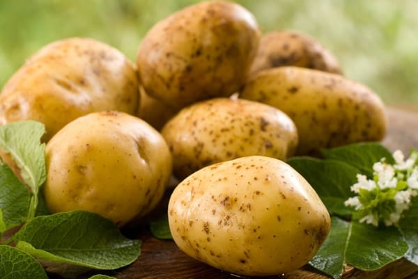 I senatori spingono per un maggiore accesso di patate fresche in Messico