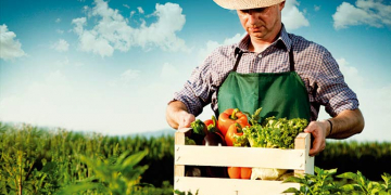 OVERVIEW GLOBAL POTATO MARKET