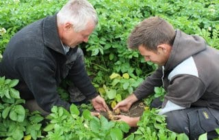 ‘Open the cutting further for good germination inhibition’