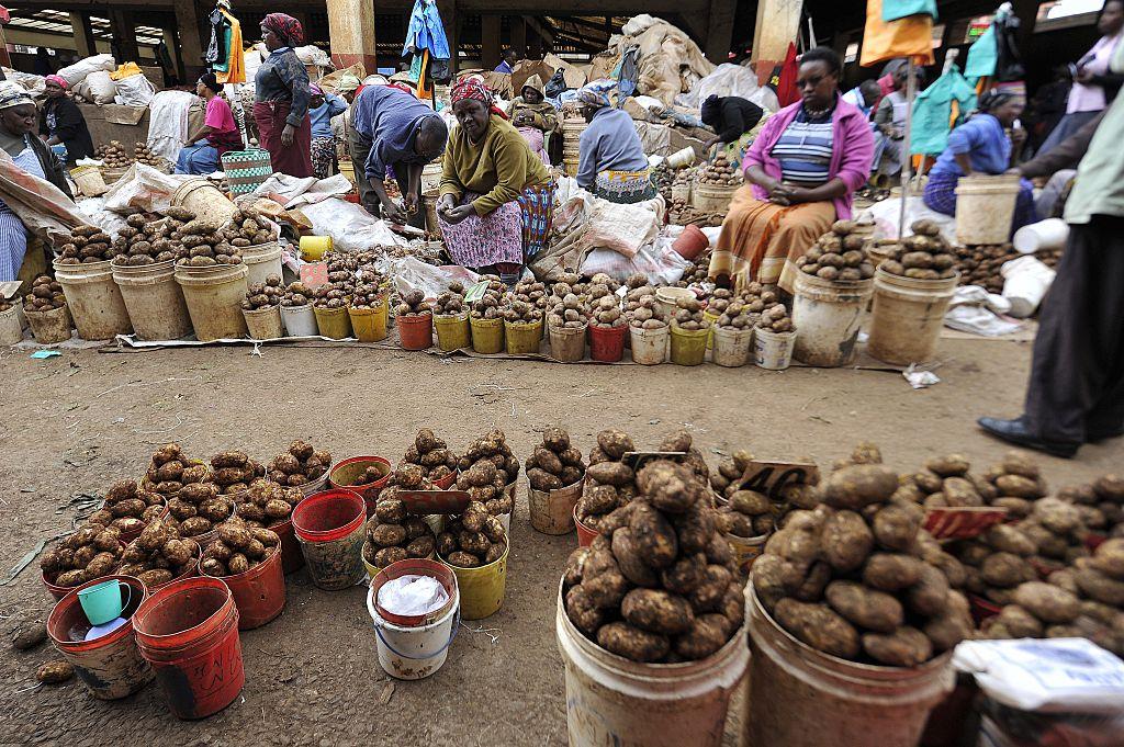 How we’re getting to the root of a global pest threatening potatoes in East Africa.