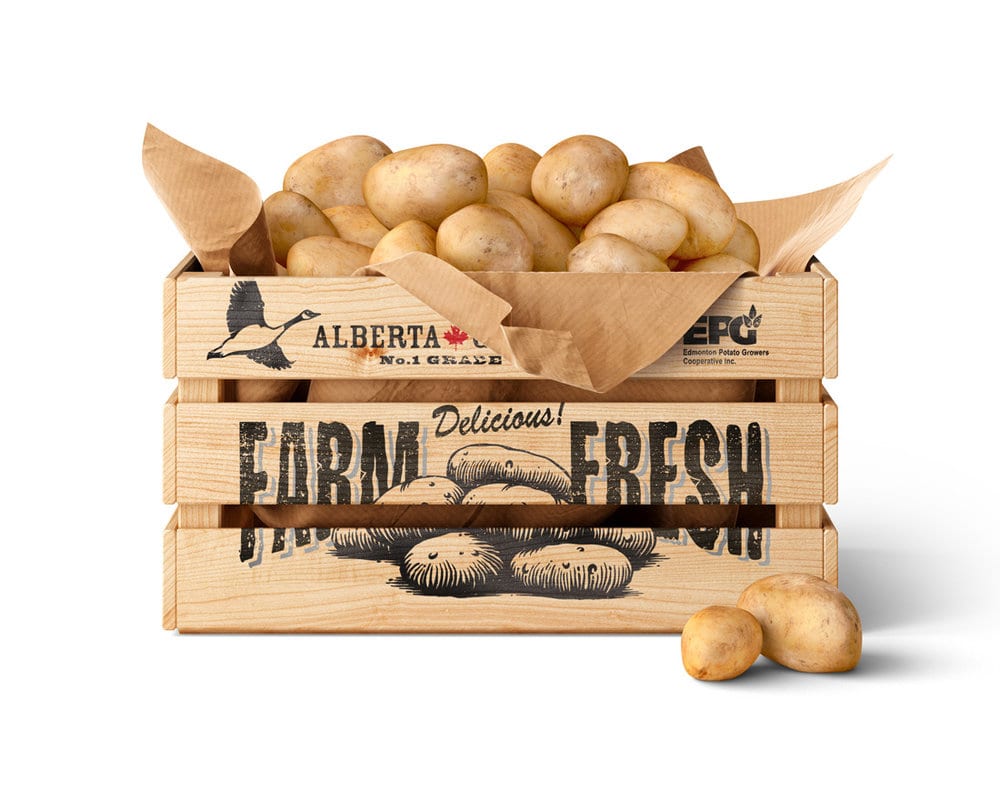 Edmonton Potato Growers 23 Edmonton Potato Growers