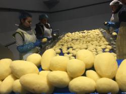 La nostra gamma di patate sbucciate offre ai clienti e ai consumatori della ristorazione una soluzione conveniente per pasti sani in movimento.
