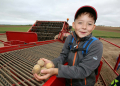 Ben attends the third grade at Ostrau Elementary School. On Thursday, he was allowed to attend the potato harvest of Agrar AG Ostrau. © Lars Halbauer