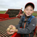 Ben attends the third grade at Ostrau Elementary School. On Thursday, he was allowed to attend the potato harvest of Agrar AG Ostrau. © Lars Halbauer