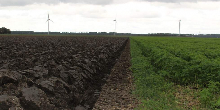 Analysis: Soil alarmists miss out on plank