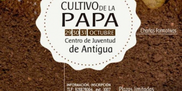 Spain (Fuerteventura): Antigua organizes a Good Practice Course for potato cultivation