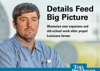 Details Feed Big Picture for Louisiana Farmer