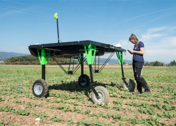 Automation and digitalization are changing agriculture in a sustainable way. The field robots in particular were the focus at a transnational research meeting at Agroscope.