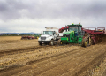 Good year for spuds in Idaho, marketers say