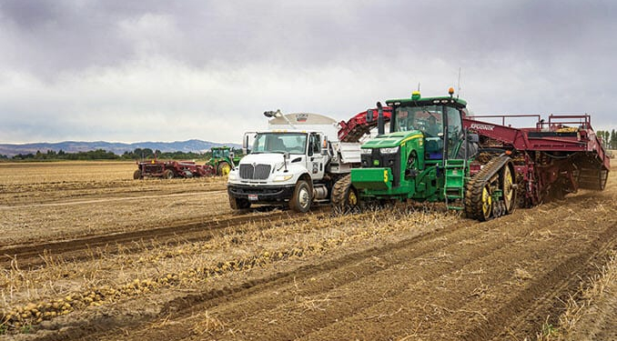 Good year for spuds in Idaho, marketers say