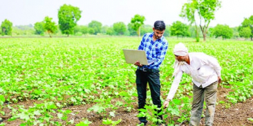 Growers can empower themselves through a livelihood strategy that collectivises the smaller producers into FPOs which are then integrated into an inclusive value chain